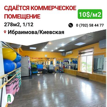 в цуме: Офистик, 278 кв. м, Турак комплексинде, 1-катар, Өзүнчө ашканасы менен, Өзүнчө кире бериши менен