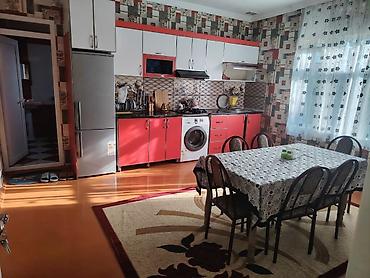 dəniz məhsulları satışı: Şlanq, Yeni, daxili diametr 1 mm mm, Başlıqlı — 7