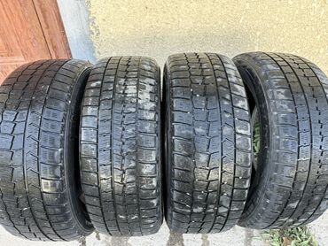 я ищу шины: Шины 225 / 55 / R 17, Зима, Комплект, Легковые, Dunlop
