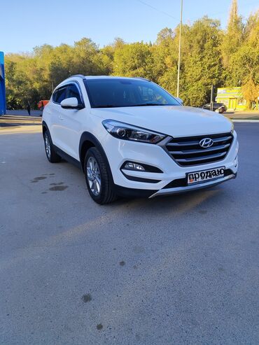 хендай тускани: Hyundai Tucson: 2016 г., 1.7 л, Автомат, Дизель, Кроссовер