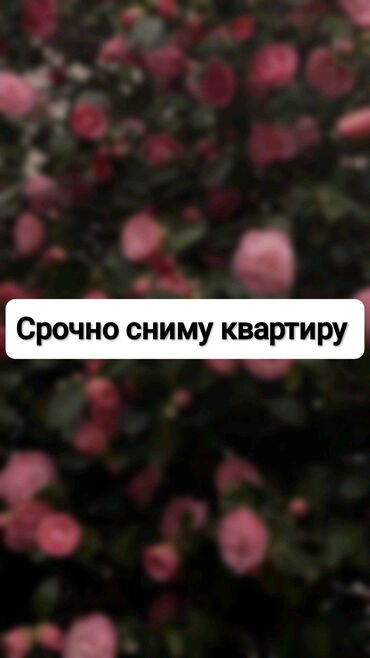 район церкви: Срочно снимем квартиру в 3, 4, 5, 6, 9, 10, 11 и 12 микрорайонах и