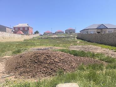 berde: 10 sot, Tikinti, Kupça (Çıxarış) — 2
