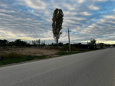 əlimyandi satilan evlər: 10 sot, Tikinti, Mülkiyyətçi, Kupça (Çıxarış) — 1
