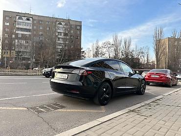 велтмейстер электромобил: Tesla Model 3: 2019 г., Автомат, Электромобиль, Седан — 5