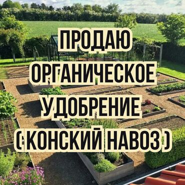 сок алоэ цена бишкек: Өзү алып кетүү, Камаз