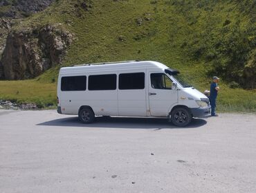 ланжерон на спринтер: Mercedes-Benz Sprinter: 2002 г., 2.9 л, Механика, Дизель, Минивэн