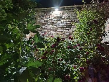 Fasad işləri: Dekorativ daş üzlük və fasad işləri – peşəkar xidmət Təklif olunan — 63