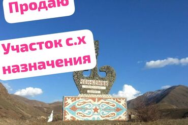 Продажа участков: 150 соток, Для сельского хозяйства, Договор долевого участия