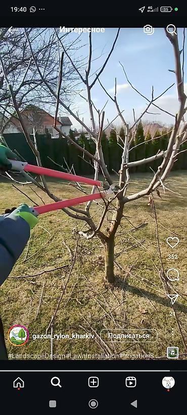 Другие услуги: Жемиш багын Оз убагында, туура бутоо Мол тушум Алма бак бутайбыз Ар — 9