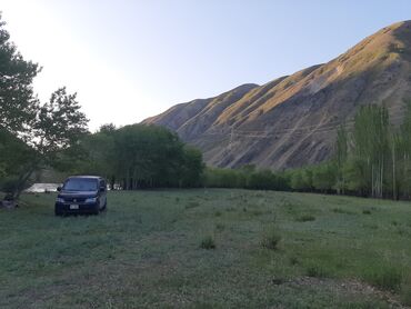 Автоуслуги: По городу Такси, легковое авто | 7 мест