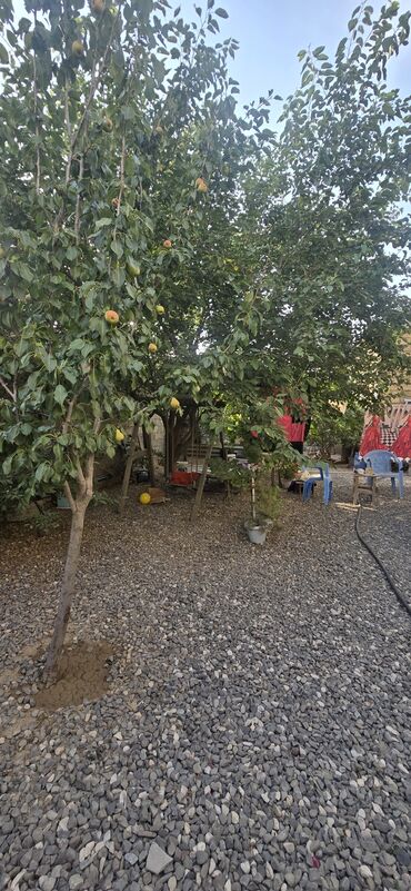 Həyət evləri və villaların satışı: 7 otaqlı, 200 kv. m, Orta təmir — 27