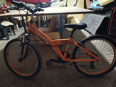 gap kids dzemper ica: 24" signato orange - cross bicikli