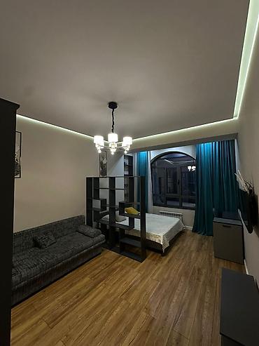 Долгосрочная аренда комнат: Белгравия 8й этаж 1 комнатная квартира С евро ремонтом В кв есть — 9