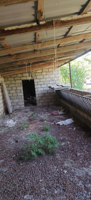 mehemmedi torpaq satilir: 28 sot, Kənd təsərrüfatı, Mülkiyyətçi, Kupça (Çıxarış) — 7
