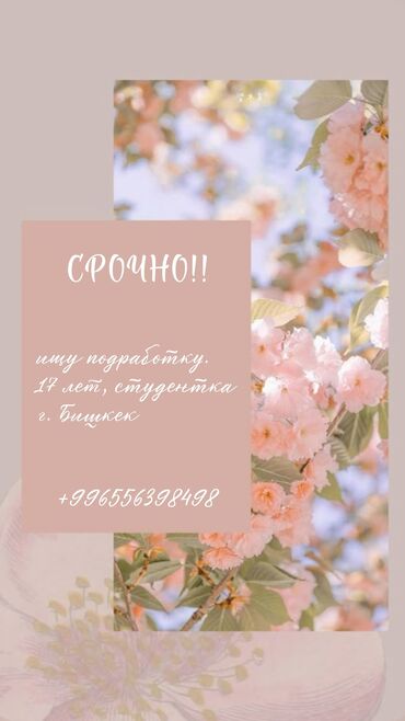 работа для студентов ежедневная оплата: Кассир, Без опыта, Студент
