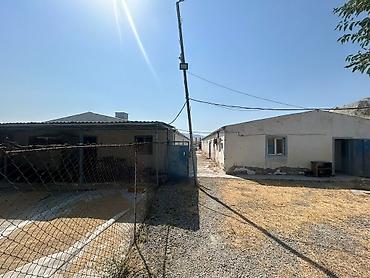 əmlak satışı saytları: Heyvandarlıq təsərrüfatı üçün hazır obyekt - İri sahəli, daş divarlı — 8