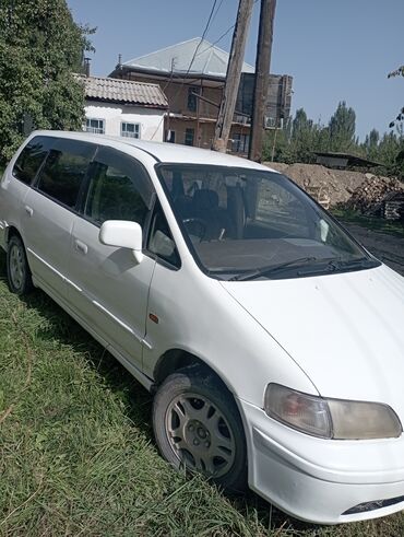 передний бампер опель вектра б: Honda Odyssey, белый универсал/минивэн. Кузов: - Длинная колесная