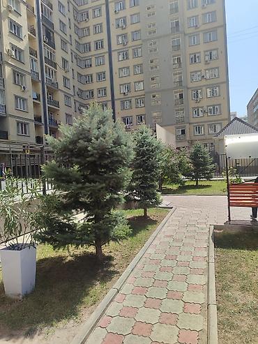 квартира кк: 2 комнаты, 63 м², Тунгуч мкр Элитка, 5 этаж, Евроремонт — 10