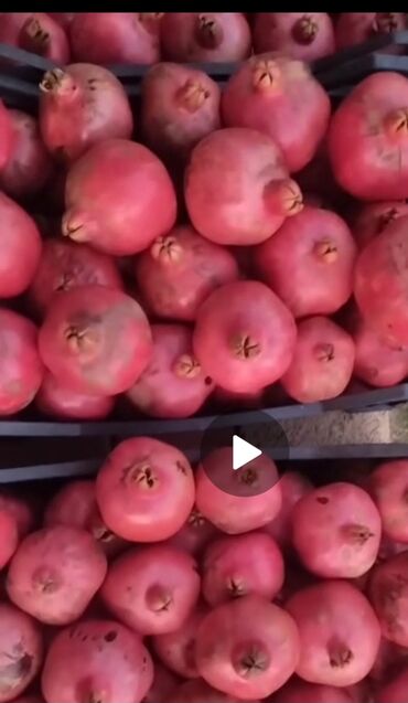 Süd məhsulları və yumurtalar: Təzə nar satılır. Nə qədər istəsəniz var