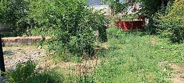 каракол комната: 12 соток, Кызыл китеп — 5