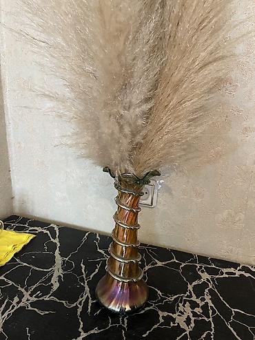 nigah gülü: Güldanlar ikisi bir yerdə 20 azn — 2