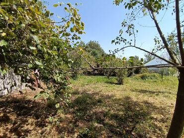 Torpaq sahələrinin satışı: 22 sot, Kənd təsərrüfatı, Mülkiyyətçi, Kupça (Çıxarış) — 7