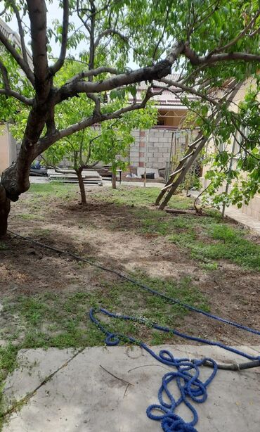 Продажа участков: 4 соток, Для строительства, Красная книга, Тех паспорт, Договор купли-продажи — 4