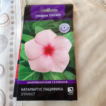 Другие книги и журналы: Продается семена дельфиниумов и катарантусов — 19