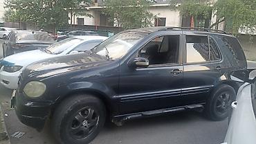 w163: Mercedes-Benz ML-Class: 2003 г., 3.2 л, Автомат, Бензин, Кроссовер — 2