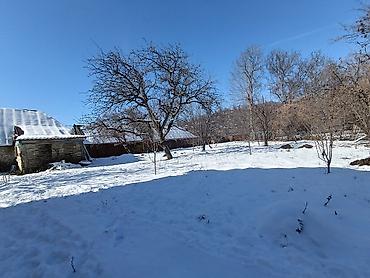 Həyət evləri və villaların satışı: 2 otaqlı, 15 kv. m, Kredit yoxdur — 7