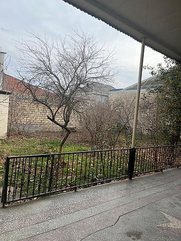 sahe: 2 sot, Tikinti, Mülkiyyətçi, Kupça (Çıxarış) — 6