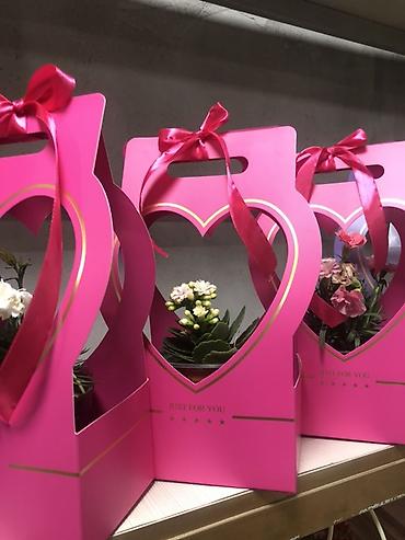 Подарочная упаковка: Подарочные композиции в коробке-сумке - Живые комнатные — 3