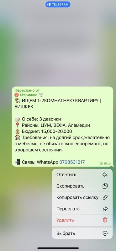 с подселением парень: 1 бөлмө, Менчик ээси, Чогуу жашоосу жок, Жарым -жартылай эмереги бар