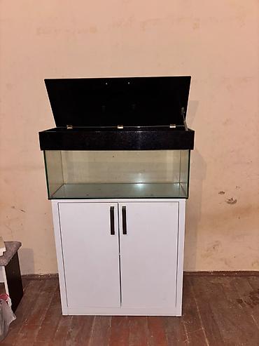 akvarium baliqlari: Dördbucaq akvarium, Boş, 80 l — 4