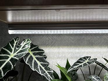 Хойи: Фитолампа 600сом 15 ватт длина 0,9м. Фитильный горшок новые обьем 0,5 — 12