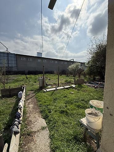 Продажа коттеджей и домов: 🏡 Продаётся жилой дом с хозяйственным двором 📍 Участок — 10 соток 💧 — 5