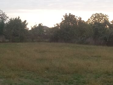 Ev üçün digər mallar: Heyatyani sahe satilir qiymet zeng edin danisaq razilasma yolu ile -da lalafo.az — 4 Ev üçün digər mallar: Heyatyani sahe satilir qiymet zeng edin danisaq razilasma yolu ile — 4