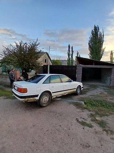Audi: Audi 100: 1991 г., Седан — 4