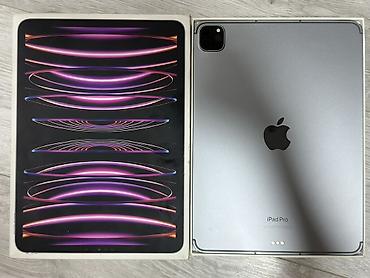 Планшеты: IPad Pro 11" (3-е/4-е поколение по дизайну), цвет Space Gray - Экран — 6