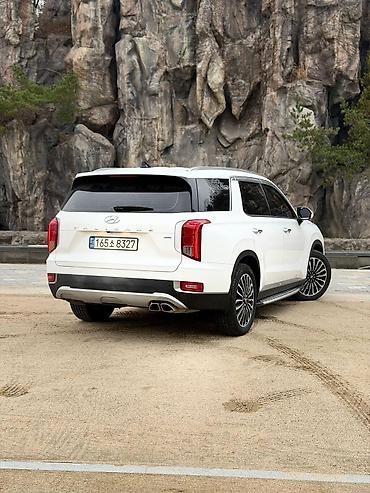 Hyundai: Hyundai Palisade: 2019 г., Автомат, Кроссовер — 6