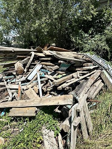 бараны арашан цена: Отун сатылат Каракол шаарында — 3
