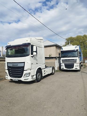 Тягачи: Тягач, DAF, 2014 г., Тентованный — 5