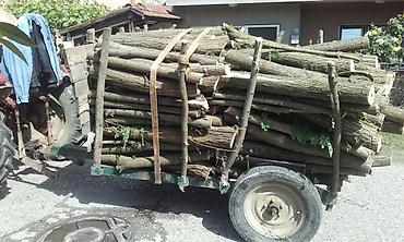 putnički kombi 8 1: Sumska prikolica na prodaju!Ojacana osovina stavljene gume 17ke niska — 4