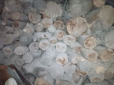 каракол дрова: Дрова Самовывоз