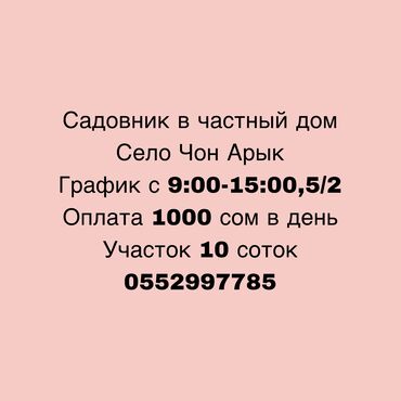 жумуш реализатор: Мужчина с опытом работы в озеленении или садовником в частных домах