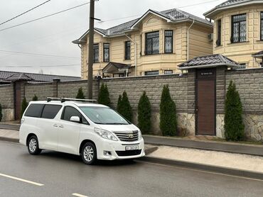 машина солярис: Toyota Alphard: 2014 г., 3.5 л, Автомат, Бензин, Минивэн