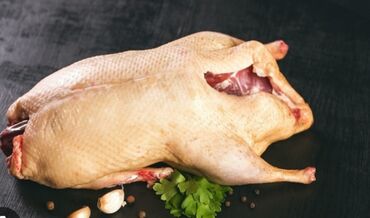 рагатка для рыба: Продаю домашнее мясо птицы. утки, индюки. забой под заказ. мясо свежее