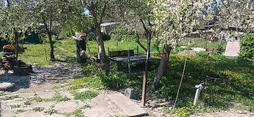 алтын казык ж м: Продаю полдома 5 комнаты +ванна душ. сокулук село первое мая.дом — 9