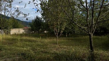 Torpaq sahələrinin satışı: 15 sot, Tikinti, Makler, Kupça (Çıxarış) — 11