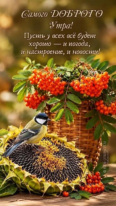 охранна: Стабилизатор напряжения, Однофазные — 5
